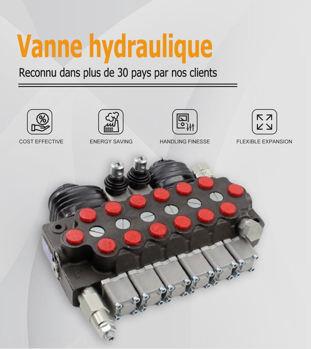 TR55 Manuel et manette 6 distributeurs Distributeur directionnel monobloc